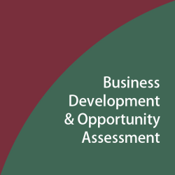 Business Development & Opportunity Assessment