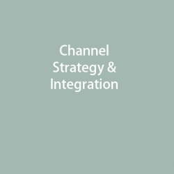 Channel Strategy & Integration